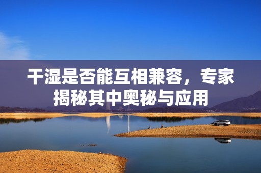 干湿是否能互相兼容，专家揭秘其中奥秘与应用