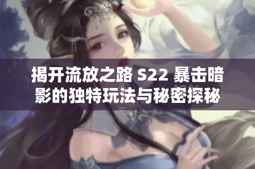 揭开流放之路 S22 暴击暗影的独特玩法与秘密探秘