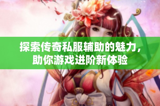 探索传奇私服辅助的魅力，助你游戏进阶新体验