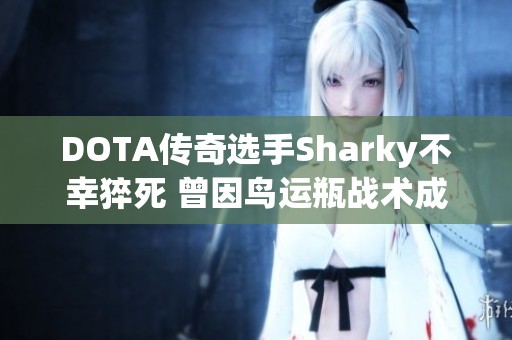 DOTA传奇选手Sharky不幸猝死 曾因鸟运瓶战术成名