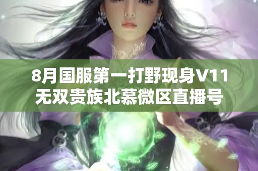 8月国服第一打野现身V11无双贵族北慕微区直播号