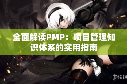 全面解读PMP：项目管理知识体系的实用指南