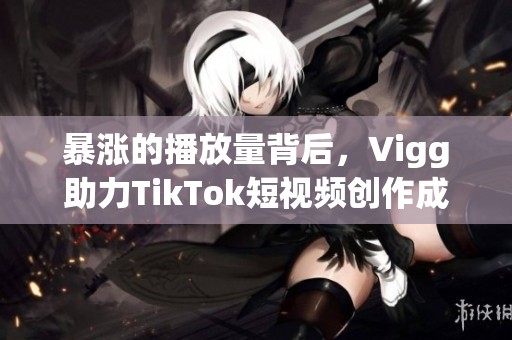 暴涨的播放量背后，Vigg助力TikTok短视频创作成功秘诀揭秘