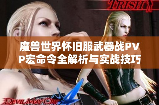 魔兽世界怀旧服武器战PVP宏命令全解析与实战技巧