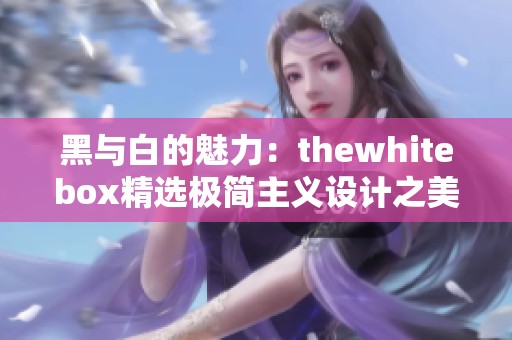 黑与白的魅力：thewhitebox精选极简主义设计之美