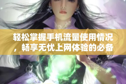 轻松掌握手机流量使用情况，畅享无忧上网体验的必备助手