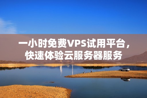 一小时免费VPS试用平台，快速体验云服务器服务