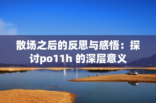 散场之后的反思与感悟：探讨po11h 的深层意义