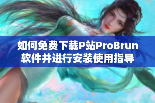 如何免费下载P站ProBrun软件并进行安装使用指导