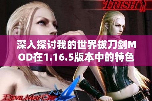 深入探讨我的世界拔刀剑MOD在1.16.5版本中的特色与玩法