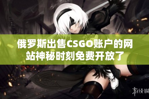 俄罗斯出售CSGO账户的网站神秘时刻免费开放了