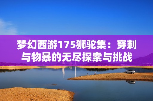 梦幻西游175狮驼集：穿刺与物暴的无尽探索与挑战