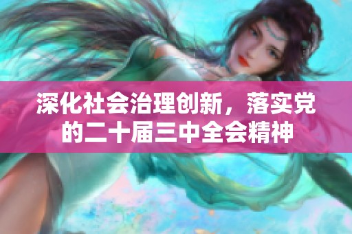 深化社会治理创新，落实党的二十届三中全会精神