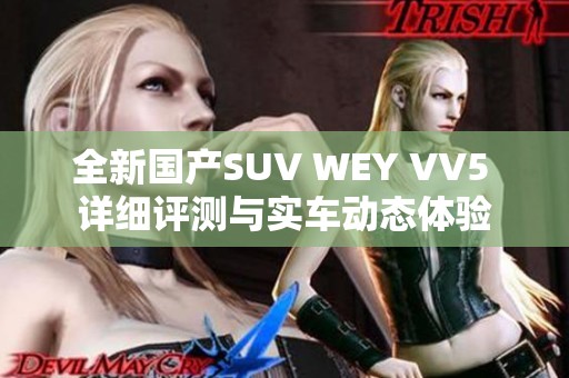 全新国产SUV WEY VV5 详细评测与实车动态体验