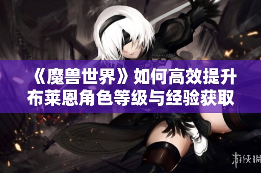 《魔兽世界》如何高效提升布莱恩角色等级与经验获取技巧