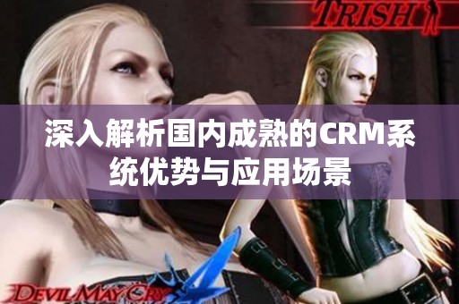 深入解析国内成熟的CRM系统优势与应用场景