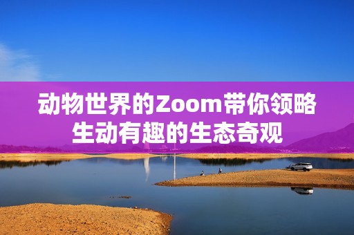 动物世界的Zoom带你领略生动有趣的生态奇观